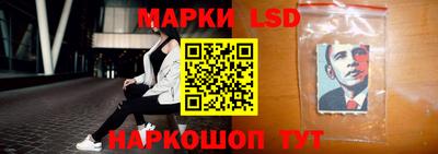 гашик Сланцы