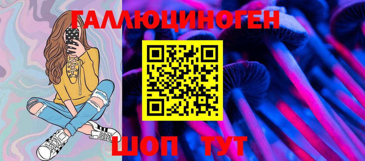 Галлюциногенные грибы Psilocybine cubensis Алапаевск