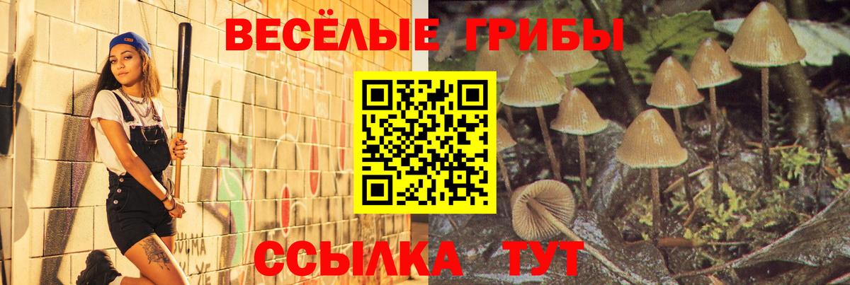 Псилоцибиновые грибы мухоморы  Вход с VPN  Алапаевск  Галлюциногенные грибы мухоморы 